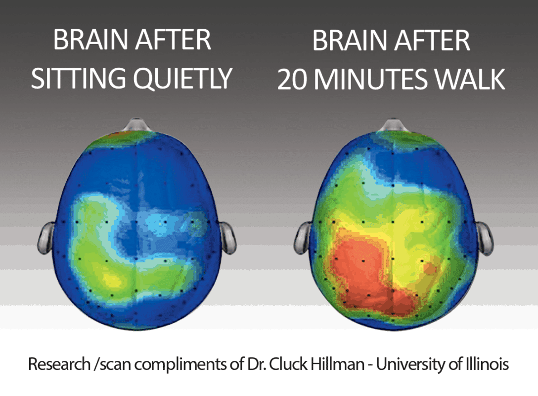 Brains FitOffice 1200